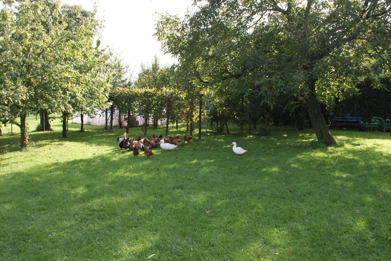 Agrogosia Hotell Czajowice Exteriör bild